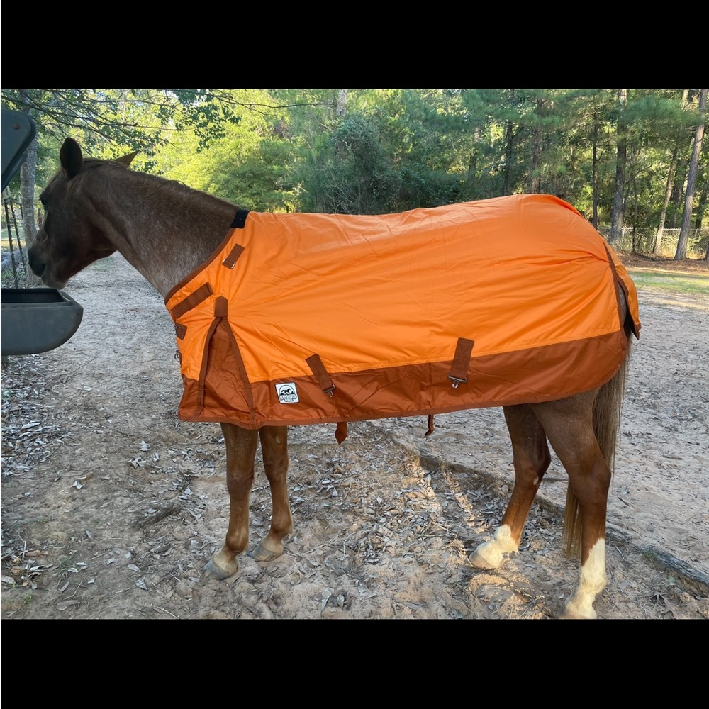 Medium weight turnout blanket